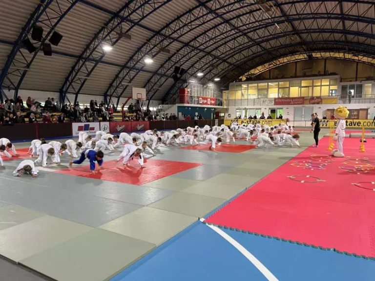 Drugi krog Šolskih judo iger
