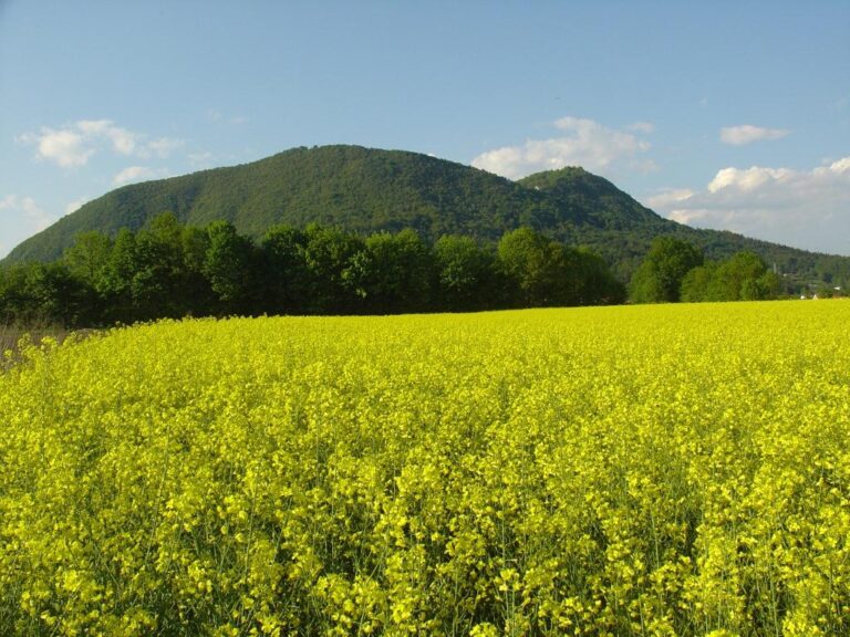 Vsi na pohod – Šmarna gora